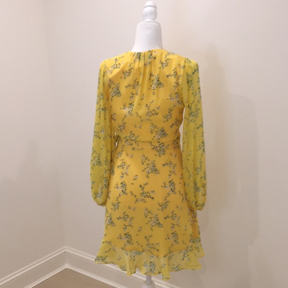 Banana Republic Ruffle-Wrap Dress - Picture 5 of 8